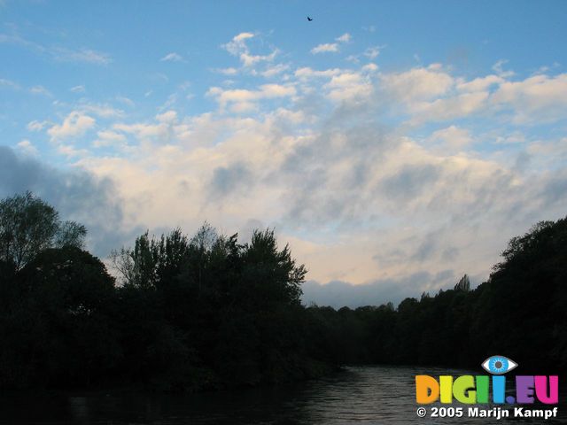 15093 Clouds over trees